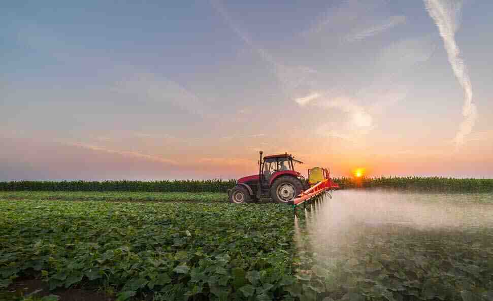 Quelle est la différence entre l'agriculture de subsistance et l'agriculture commerciale?