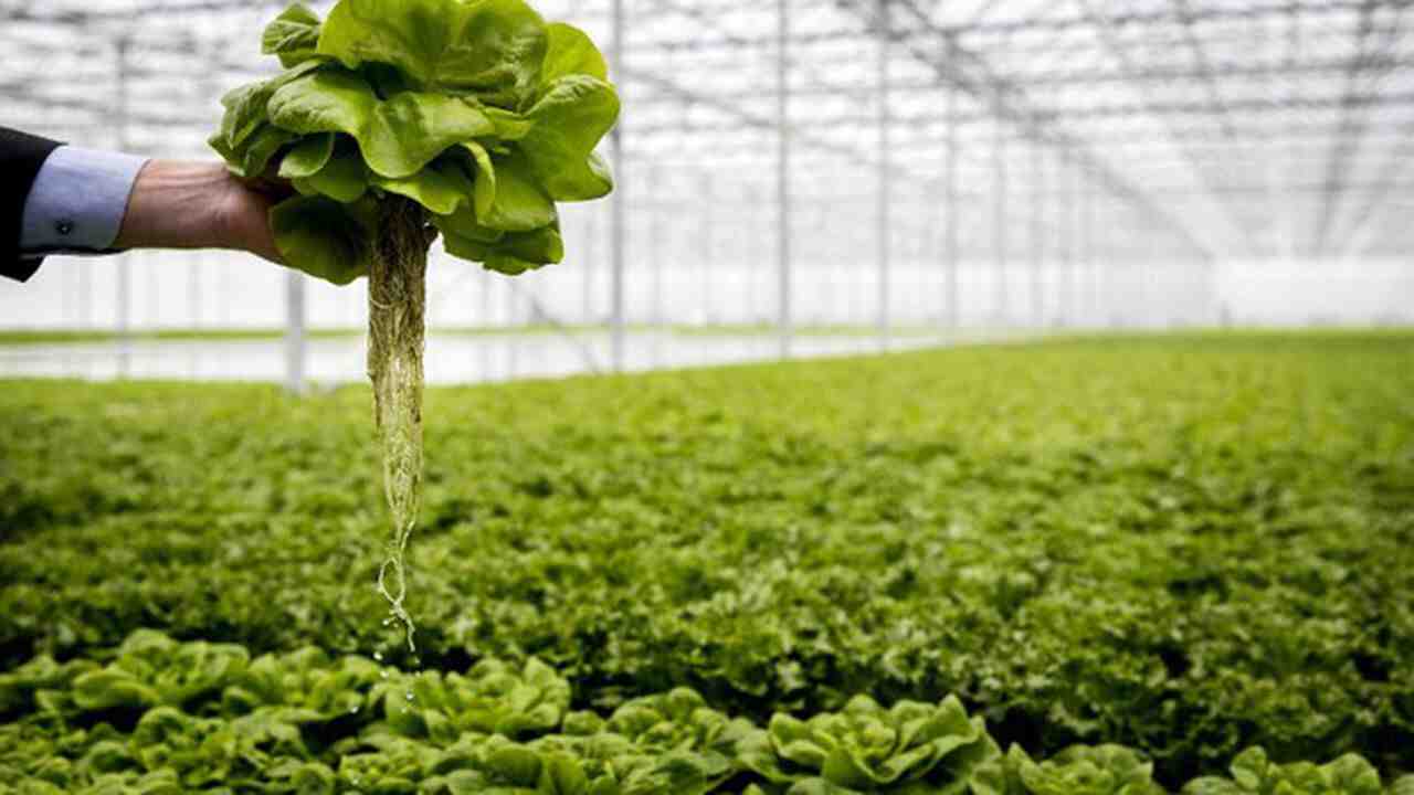 Qu'est-ce qu'un produit agricole durable?